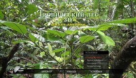 Тропический лес (3D) [Blu-ray 3D] / Rainforest (3D)