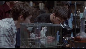 Факультет [Blu-ray] / The Faculty