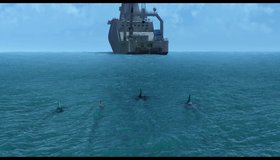 Риф [Blu-ray] / The Reef 2: High Tide