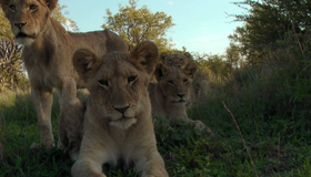Дикая Южная Африка (мини-сериал) [Blu-ray 3D] / Wildlife Südafrika (TV mini-series)