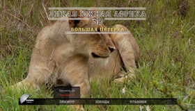 Дикая Южная Африка (Сафари. Большая пятерка. По следам белых акул) (3D) [Blu-ray 3D] / Wildlife Südafrika (3D)