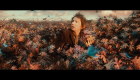 Хоббит: Пустошь Смауга [Blu-ray] / The Hobbit: The Desolation of Smaug