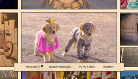 Пятерка супергероев [Blu-ray] / Super Buddies