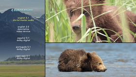 Медведи [Blu-ray] / Bears