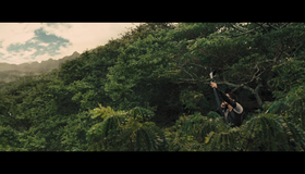 Голодные игры: И вспыхнет пламя [Blu-ray] / The Hunger Games: Catching Fire