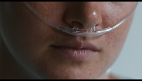 Виноваты звезды [Blu-ray] / The Fault in Our Stars