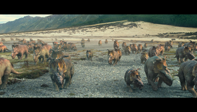 Прогулки с динозаврами (3D) [Blu-ray 3D] / Walking with Dinosaurs (3D)