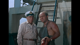 Полосатый рейс [Blu-ray] / Striped Trip (Polosatyy reys)