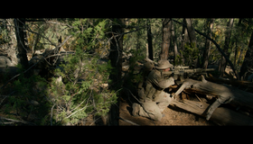 Уцелевший [Blu-ray] / Lone Survivor