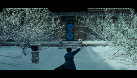 Великий мастер [Blu-ray] / Yi dai zong shi (The Grandmaster)