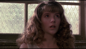 Люди под лестницей [Blu-ray] / The People Under the Stairs