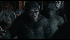 Планета обезьян: Революция [Blu-ray] / Dawn of the Planet of the Apes