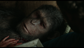 Планета обезьян: Революция [Blu-ray] / Dawn of the Planet of the Apes