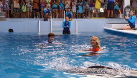 История дельфина 2 [Blu-ray] / Dolphin Tale 2