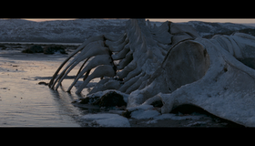 Левиафан [Blu-ray] / Leviathan