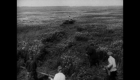 Старое и новое (Генеральная линия) [Blu-ray] / Old and New (The General Line)