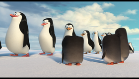 Пингвины Мадагаскара [Blu-ray] / Penguins of Madagascar
