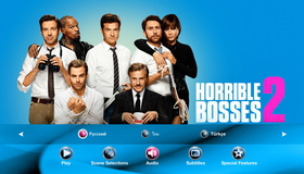 Несносные боссы 2 [Blu-ray] / Horrible Bosses 2