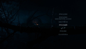 Чем дальше в лес... [Blu-ray] / Into the Woods
