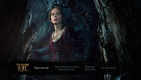 Чем дальше в лес... [Blu-ray] / Into the Woods