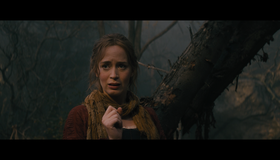 Чем дальше в лес... [Blu-ray] / Into the Woods