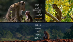 Королевство обезьян [Blu-ray] / Monkey Kingdom