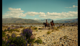 Строго на запад [Blu-ray] / Slow West