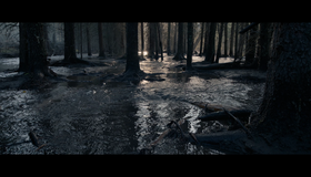 Выживший [Blu-ray] / The Revenant