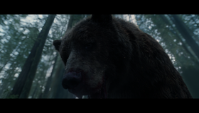 Выживший [Blu-ray] / The Revenant