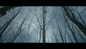 Выживший [Blu-ray] / The Revenant