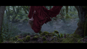 Страшные сказки [Blu-ray] / Il racconto dei racconti (Tale of Tales)
