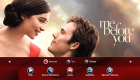 До встречи с тобой [Blu-ray] / Me Before You
