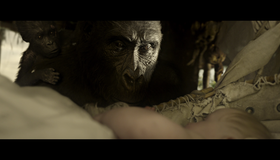 Тарзан. Легенда [Blu-ray] / The Legend of Tarzan