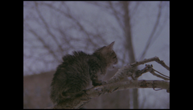 Герой [Blu-ray] / The Hero (Geroy)