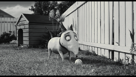 Франкенвини [Blu-ray] / Frankenweenie
