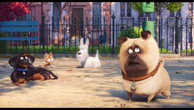 Тайная жизнь домашних животных [Blu-ray] / The Secret Life of Pets