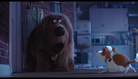 Тайная жизнь домашних животных [Blu-ray] / The Secret Life of Pets
