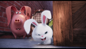 Тайная жизнь домашних животных [Blu-ray] / The Secret Life of Pets