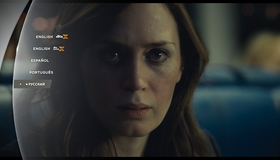 Девушка в поезде [Blu-ray] / The Girl on the Train