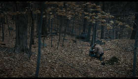 Девушка в поезде [Blu-ray] / The Girl on the Train