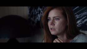 Под покровом ночи [Blu-ray] / Nocturnal Animals