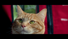 Уличный кот по кличке Боб [Blu-ray] / A Street Cat Named Bob
