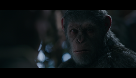 Планета обезьян: Война [Blu-ray] / War for the Planet of the Apes