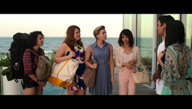 Очень плохие девчонки [Blu-ray] / Rough Night