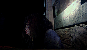 Ведьма из Блэр: Новая глава [Blu-ray] / Blair Witch