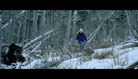 Дикий [Blu-ray] / Braven