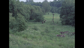 Сталкер [Blu-ray] / Stalker