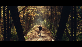 Тихое место [Blu-ray] / A Quiet Place