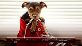 Путь домой [Blu-ray] / A Dog's Way Home