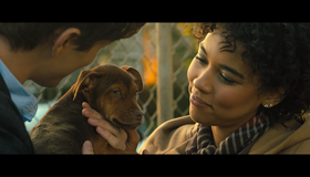 Путь домой [Blu-ray] / A Dog's Way Home